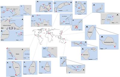 Submarine Shallow-Water Fluid Emissions and Their Geomicrobiological Imprint: A Global Overview